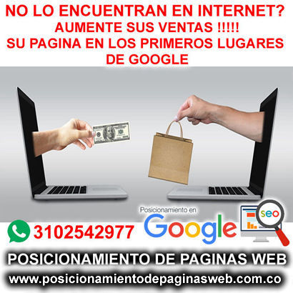 Posicionamiento de Paginas Web Bogota